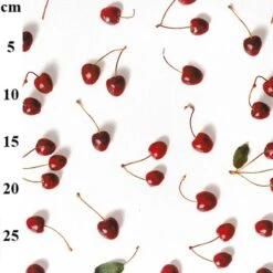 100% Cotton Digital Canvas Fabric John Louden Cherries 140cm Wide
