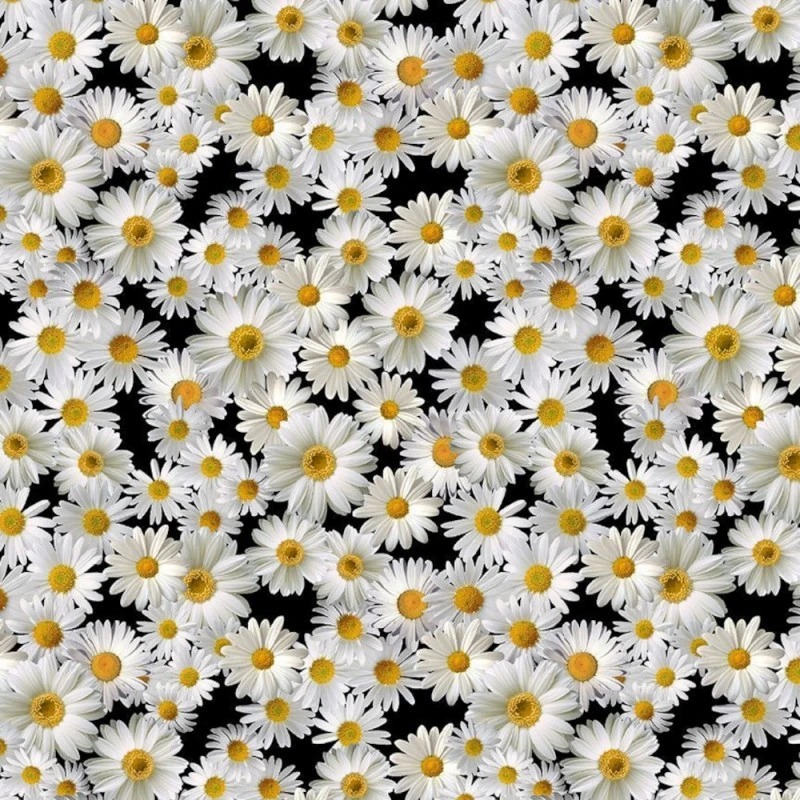 100% Cotton Digital Fabric Timeless Treasures Blooming Packed Daisies Flowers 3 100% Cotton Digital Fabric Timeless Treasures Blooming Packed Daisies Flowers