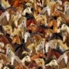100% Cotton Digital Fabric Timeless Treasures Horses Country Roads 112cm Wide 1 100% Cotton Digital Fabric Timeless Treasures Horses Country Roads 112cm Wide -OHSEWCRAFTY 100 cotton digital fabric timeless treasures horses country roads 112cm wide