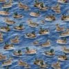 100% Cotton Digital Fabric Timeless Treasures Mallard Ducks Blue 112cm Wide -OHSEWCRAFTY 100 cotton digital fabric timeless treasures mallard ducks blue 112cm wide