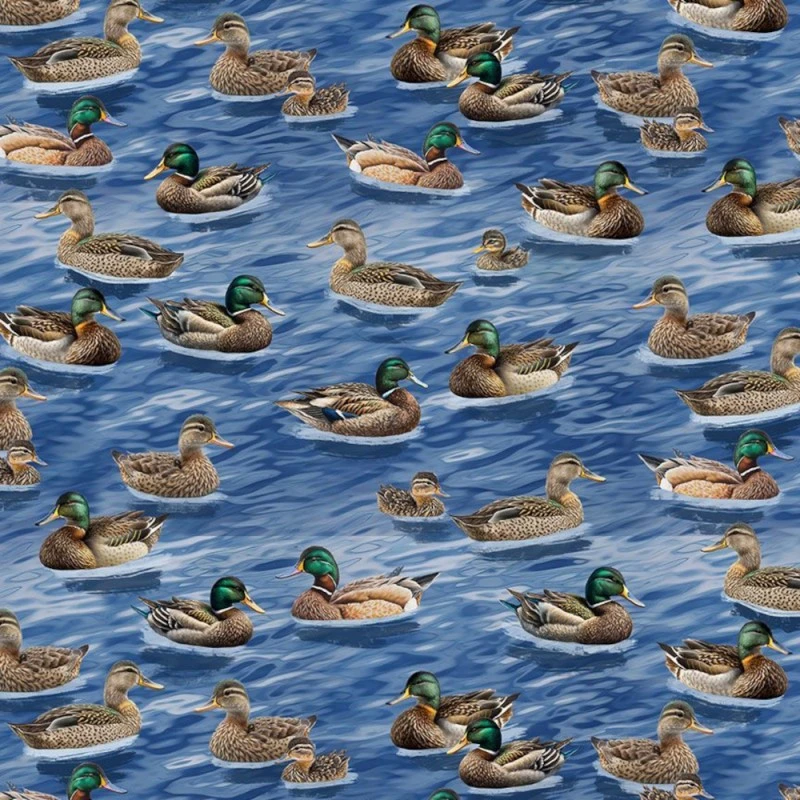 100% Cotton Digital Fabric Timeless Treasures Mallard Ducks Blue 112cm Wide 3 100% Cotton Digital Fabric Timeless Treasures Mallard Ducks Blue 112cm Wide