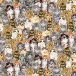 100% Cotton Digital Fabric Timeless Treasures Packed Realistic Cats 112cm Wide