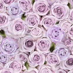 100% Cotton Digital Fabric Timeless Treasures Packed Roses Floral Crane Grove