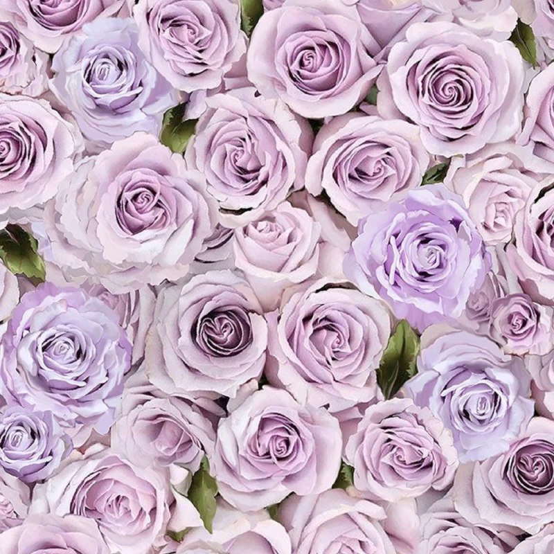 100% Cotton Digital Fabric Timeless Treasures Packed Roses Floral Crane Grove 3 100% Cotton Digital Fabric Timeless Treasures Packed Roses Floral Crane Grove