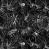 100% Cotton Digital Fabric Timeless Treasures Wicked Spiders On Webs Halloween