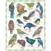 100% Cotton Fabric Panel Nutex New Zealand Natives Bird Birds Wildlife Animal -OHSEWCRAFTY 100 cotton fabric panel nutex new zealand natives bird birds wildlife animal