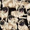 100% Cotton Fabric Timeless Treasures Cute Pugs Breed Dogs Puppies Pets Tongue 1 100% Cotton Fabric Timeless Treasures Cute Pugs Breed Dogs Puppies Pets Tongue -OHSEWCRAFTY 100 cotton fabric timeless treasures cute pugs breed dogs puppies pets tongue