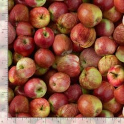 100% Cotton Fabric Timeless Treasures Packed Apples Fruit Realistic 112cm Wide -OHSEWCRAFTY 100 cotton fabric timeless treasures packed apples fruit realistic 112cm wide 1