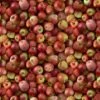 100% Cotton Fabric Timeless Treasures Packed Apples Fruit Realistic 112cm Wide -OHSEWCRAFTY 100 cotton fabric timeless treasures packed apples fruit realistic 112cm wide