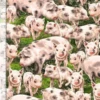 100% Cotton Fabric Timeless Treasures Pigs Piglets Farm Animals Pig -OHSEWCRAFTY 100 cotton fabric timeless treasures pigs piglets farm animals pig