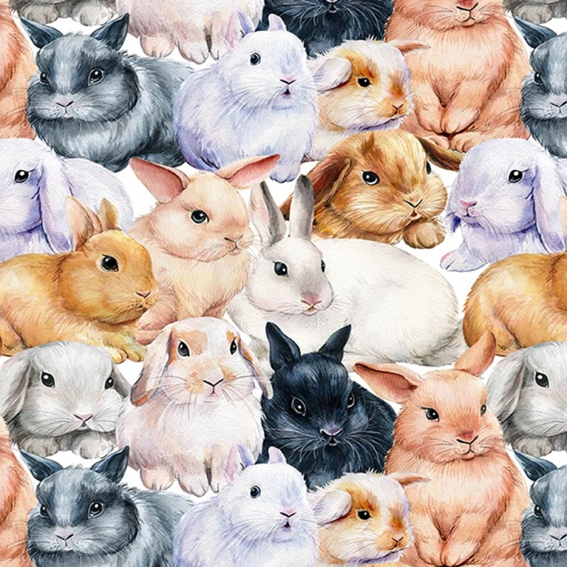 Cotton Jersey Fabric Little Johnny Bunny Fluffle Easter Bunnies Rabbits Animals 3 Cotton Jersey Fabric Little Johnny Bunny Fluffle Easter Bunnies Rabbits Animals