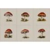 Cotton Rich Linen Look Fabric Digital Botanical Toadstools Mushroom Panel -OHSEWCRAFTY cotton rich linen look fabric digital botanical toadstools mushroom panel