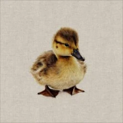 Cotton Rich Linen Look Fabric Digital Fluffy Duckling Duck Duckies Panel -OHSEWCRAFTY cotton rich linen look fabric digital fluffy duckling duck duckies panel 3