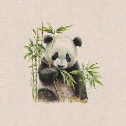 Cotton Rich Linen Look Fabric Digital Watercolour Baby Pandas Bears Panel -OHSEWCRAFTY cotton rich linen look fabric digital watercolour baby pandas bears panel 3