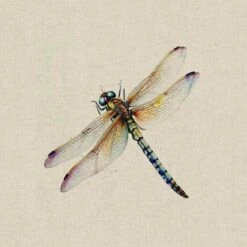 Cotton Rich Linen Look Fabric Digital Watercolour Dragonflies Insect Panel -OHSEWCRAFTY cotton rich linen look fabric digital watercolour dragonflies insect panel 5