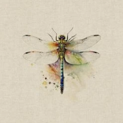 Cotton Rich Linen Look Fabric Digital Watercolour Dragonflies Insect Panel -OHSEWCRAFTY cotton rich linen look fabric digital watercolour dragonflies insect panel 6