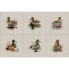 Cotton Rich Linen Look Fabric Digital Watercolour Ducks Duck Bird Panel 2 Cotton Rich Linen Look Fabric Digital Watercolour Ducks Duck Bird Panel -OHSEWCRAFTY cotton rich linen look fabric digital watercolour ducks duck bird panel