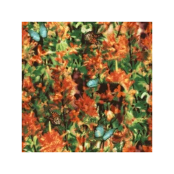 Indian Paintbrush Garden Butterflies Floral 100% Cotton Fabric