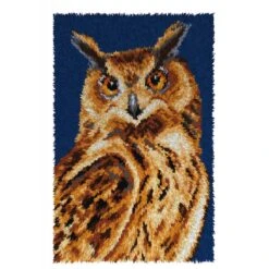 Orchidea Owl Latch Hook Rug Kit – DIY Craft For Bird & Nature Lovers