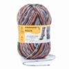 Regia Arne & Carlos Pairfect Socks 6 PLY Knitting Yarn Craft 150g Ball -OHSEWCRAFTY regia arne carlos kids pairfect socks 4 ply knitting yarn craft 150g ball