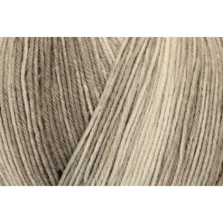 Regia Silk Color 4 PLY Knitting Yarn Knit Wool Craft 100g Ball