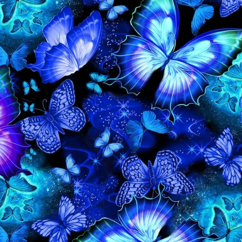 Timeless Treasures Fabric Night Sky Butterflies Fantasy Cotton Digital 112cm Wide 3 Timeless Treasures Fabric Night Sky Butterflies Fantasy Cotton Digital 112cm Wide