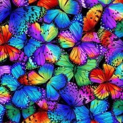 Timeless Treasures Fabric Packed Multi Bright Butterflies Cotton Digital 112cm Wide