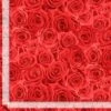 Timeless Treasures Fabric Packed Roses Cotton Digital 112cm Wide