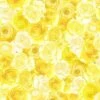 Timeless Treasures Fabric Packed Yellow Roses Lemon Cotton Digital 112cm Wide 1 Timeless Treasures Fabric Packed Yellow Roses Lemon Cotton Digital 112cm Wide -OHSEWCRAFTY timeless treasures fabric packed yellow roses lemon cotton digital 112cm wide
