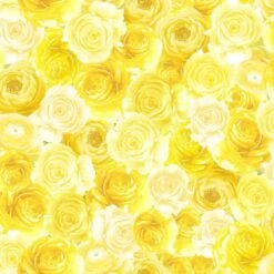 Timeless Treasures Fabric Packed Yellow Roses Lemon Cotton Digital 112cm Wide