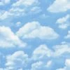 Timeless Treasures Fabric Sky Blue Clouds Cotton Digital 112cm Wide -OHSEWCRAFTY timeless treasures fabric sky blue clouds cotton digital 112cm wide