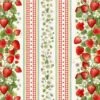 Timeless Treasures Fabric Sweet Berry 11" Stripe Cotton Digital 112cm Wide -OHSEWCRAFTY timeless treasures fabric sweet berry 11 stripe cotton digital 112cm wide