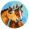 Vervaco 2 Horses Latch Hook Shaped Rug Kit – DIY Equestrian Craft 2 Vervaco 2 Horses Latch Hook Shaped Rug Kit – DIY Equestrian Craft -OHSEWCRAFTY vervaco 2 horses latch hook shaped rug kit diy equestrian craft